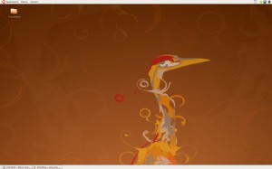 Ubuntu 8.04 LTS Desktop