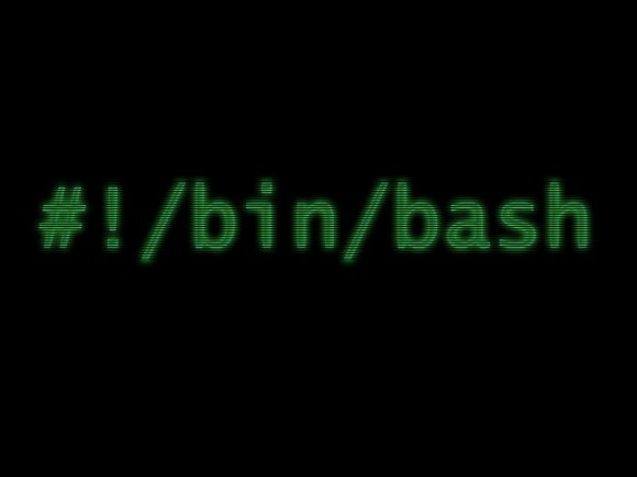 bash